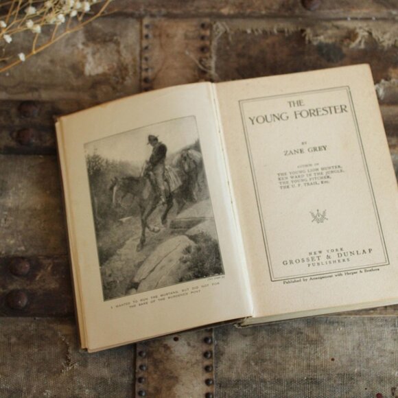 Vintage 1910s Book, "The Young Forester" by Zane Grey, Grosset and Dunlap Editio - Picture 6 of 10